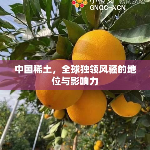 中國稀土，全球獨(dú)領(lǐng)風(fēng)騷的地位與影響力
