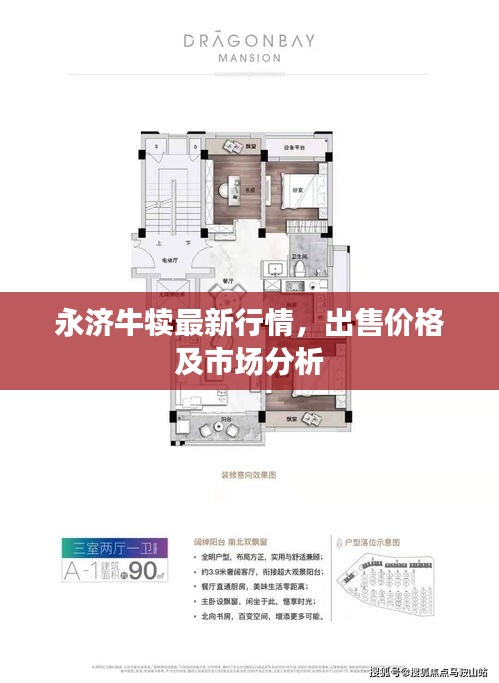 永濟(jì)牛犢最新行情，出售價(jià)格及市場分析