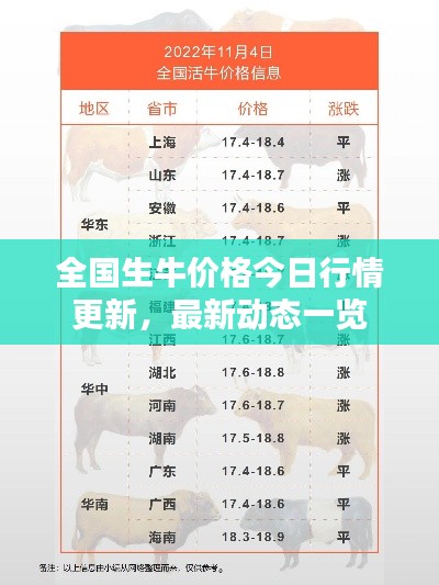全國生牛價格今日行情更新，最新動態(tài)一覽