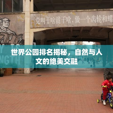 炙手可熱