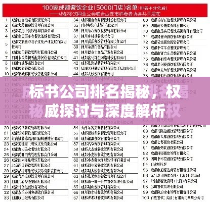 標書公司排名揭秘，權威探討與深度解析