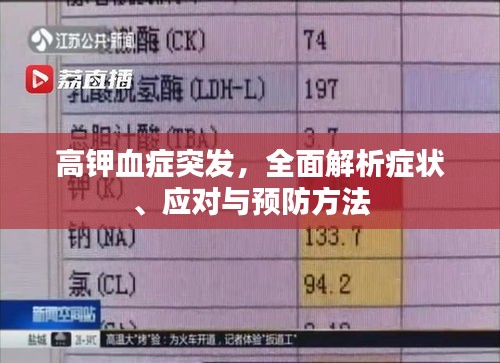 噩噩渾渾