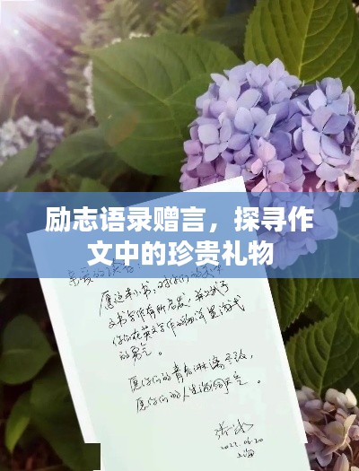 勵志語錄贈言，探尋作文中的珍貴禮物