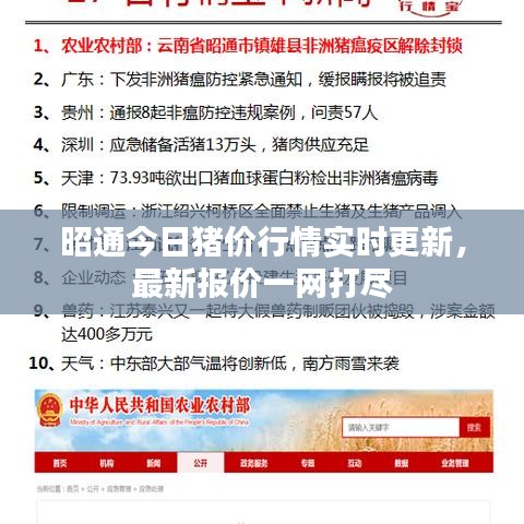 昭通今日豬價(jià)行情實(shí)時(shí)更新，最新報(bào)價(jià)一網(wǎng)打盡