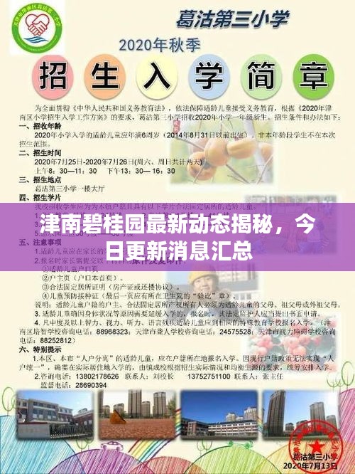 津南碧桂園最新動態(tài)揭秘，今日更新消息匯總