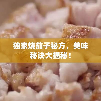 獨(dú)家燒茄子秘方，美味秘訣大揭秘！
