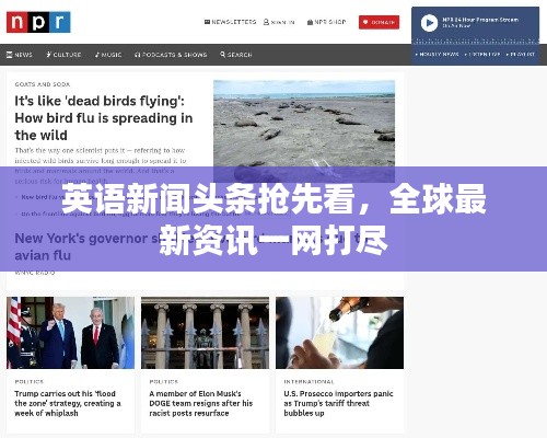 英語新聞?lì)^條搶先看，全球最新資訊一網(wǎng)打盡