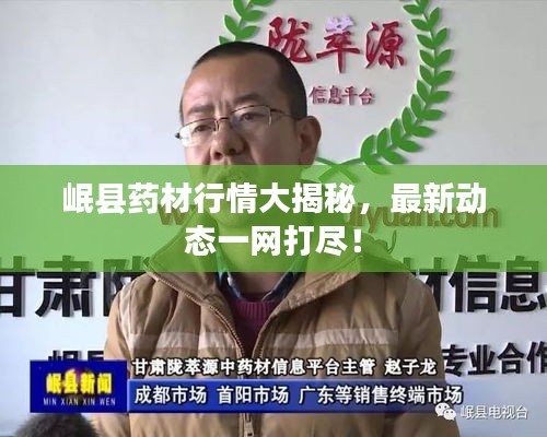 岷縣藥材行情大揭秘，最新動(dòng)態(tài)一網(wǎng)打盡！