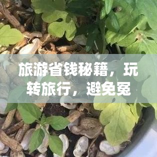 旅游省錢秘籍，玩轉(zhuǎn)旅行，避免冤枉錢支出攻略！