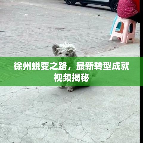徐州蛻變之路，最新轉(zhuǎn)型成就視頻揭秘