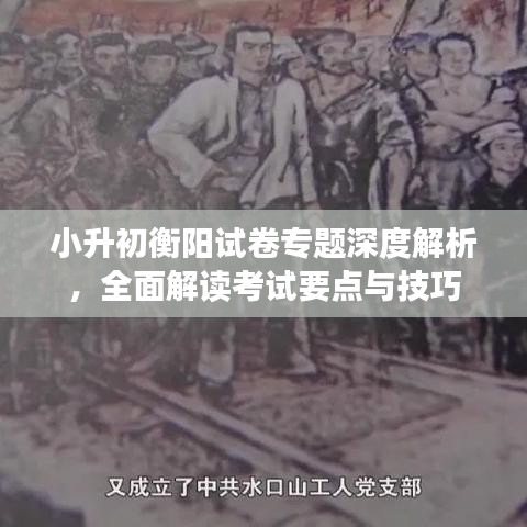 小升初衡陽(yáng)試卷專題深度解析，全面解讀考試要點(diǎn)與技巧