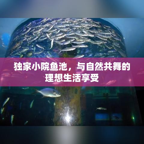 獨(dú)家小院魚(yú)池，與自然共舞的理想生活享受