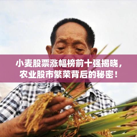小麥股票漲幅榜前十強揭曉，農(nóng)業(yè)股市繁榮背后的秘密！