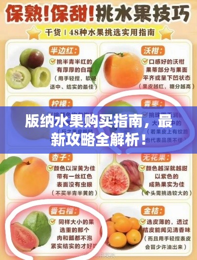版納水果購買指南，最新攻略全解析！