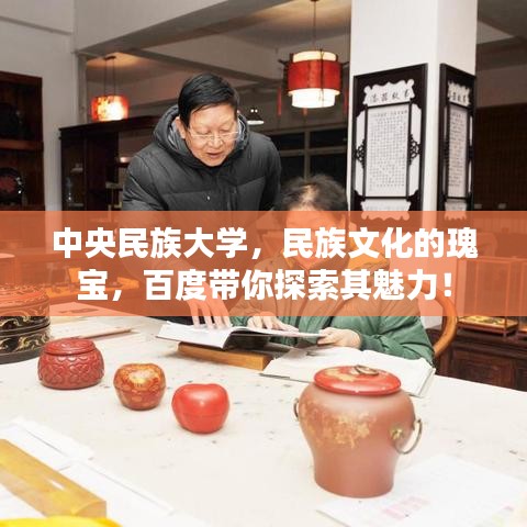 中央民族大學(xué)，民族文化的瑰寶，百度帶你探索其魅力！