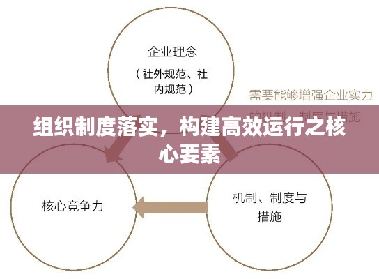 組織制度落實(shí)，構(gòu)建高效運(yùn)行之核心要素