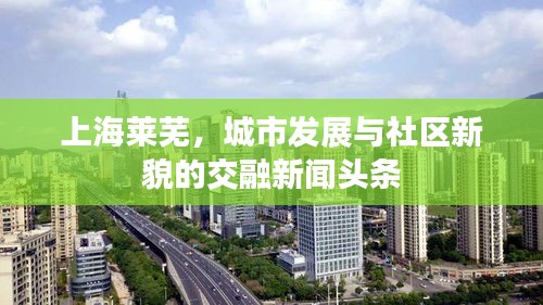 上海萊蕪，城市發(fā)展與社區(qū)新貌的交融新聞頭條