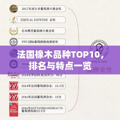 法國橡木品種TOP10，排名與特點(diǎn)一覽