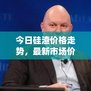 今日硅渣價格走勢，最新市場價格分析與預(yù)測