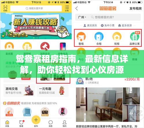 鴛鴦?wù)夥恐改?，最新信息詳解，助你輕松找到心儀房源
