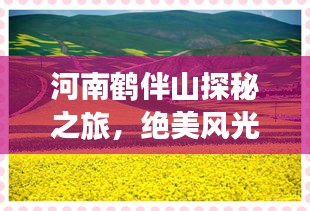 河南鶴伴山探秘之旅，絕美風(fēng)光與深度體驗(yàn)攻略
