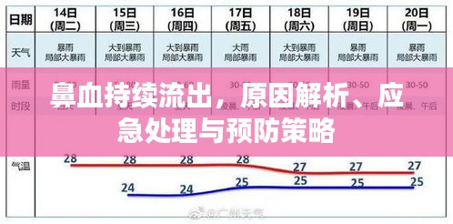 鼻血持續(xù)流出，原因解析、應(yīng)急處理與預(yù)防策略