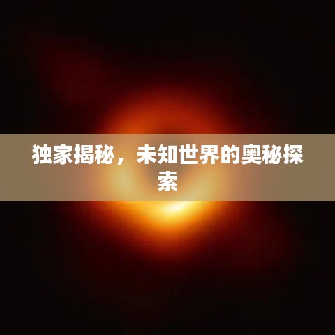 獨(dú)家揭秘，未知世界的奧秘探索