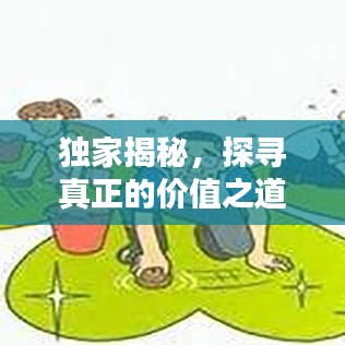 獨(dú)家揭秘，探尋真正的價(jià)值之道