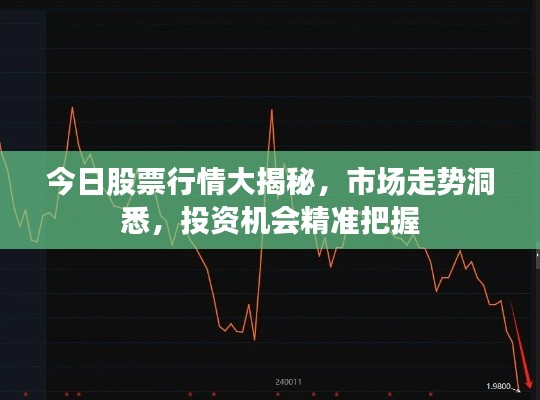 今日股票行情大揭秘，市場(chǎng)走勢(shì)洞悉，投資機(jī)會(huì)精準(zhǔn)把握