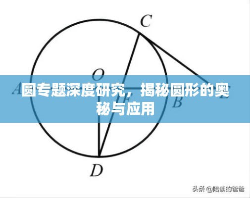 圓專題深度研究，揭秘圓形的奧秘與應(yīng)用
