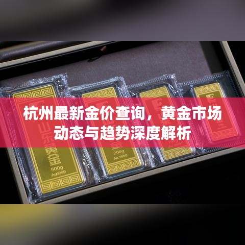 杭州最新金價(jià)查詢，黃金市場動(dòng)態(tài)與趨勢(shì)深度解析