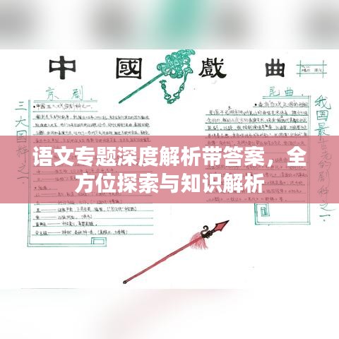 語文專題深度解析帶答案，全方位探索與知識解析