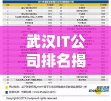武漢IT公司排名揭秘，十大領(lǐng)先企業(yè)榜單