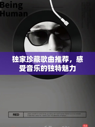 獨家珍藏歌曲推薦，感受音樂的獨特魅力