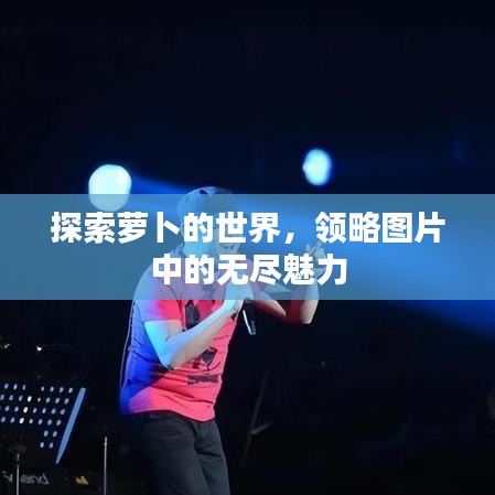 探索蘿卜的世界，領(lǐng)略圖片中的無盡魅力