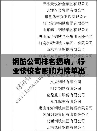 鋼筋公司排名揭曉，行業(yè)佼佼者影響力榜單出爐！