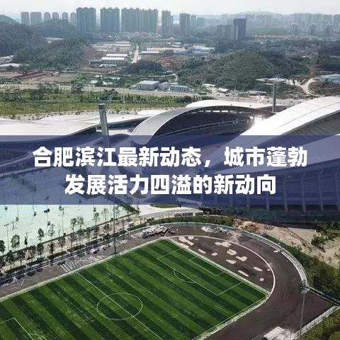 因陋就簡