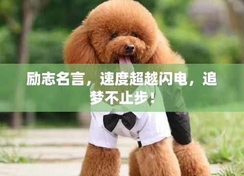 勵志名言，速度超越閃電，追夢不止步！