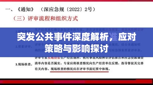 突發(fā)公共事件深度解析，應(yīng)對策略與影響探討