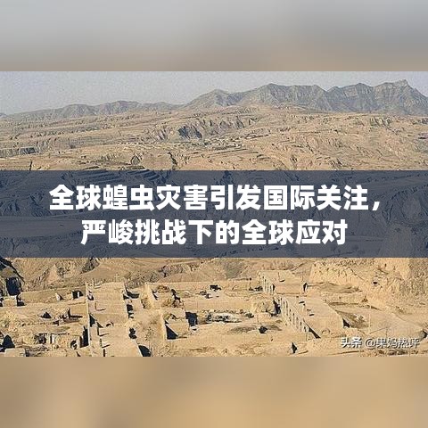 和為貴