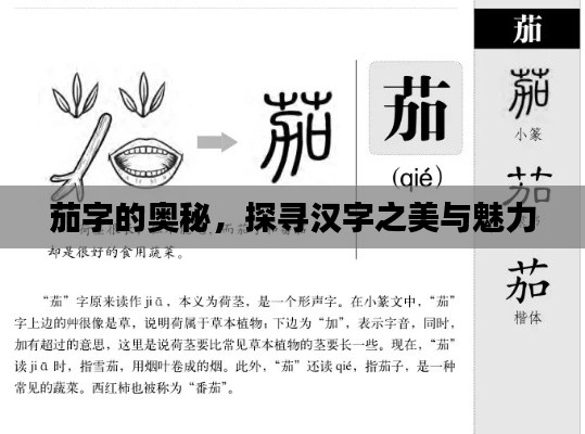 茄字的奧秘，探尋漢字之美與魅力