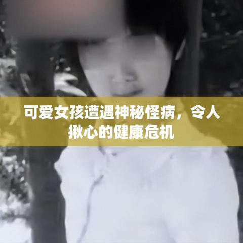 金石為開