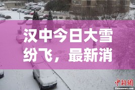 一花獨放