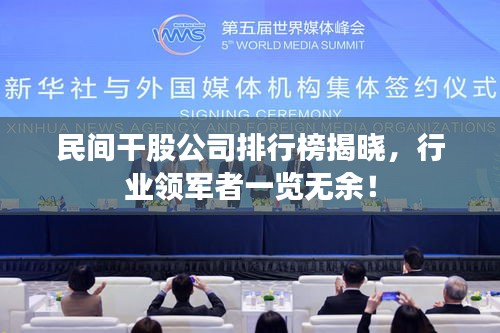 民間干股公司排行榜揭曉，行業(yè)領(lǐng)軍者一覽無余！