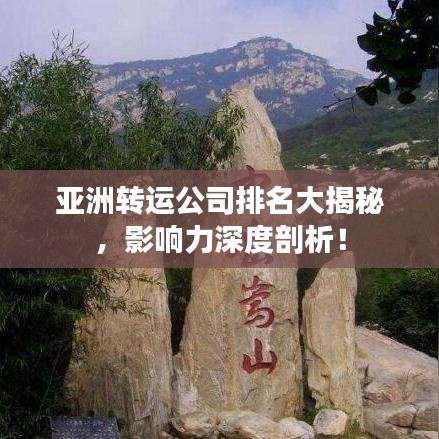 亞洲轉運公司排名大揭秘，影響力深度剖析！