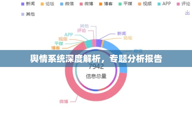 輿情系統(tǒng)深度解析，專題分析報告