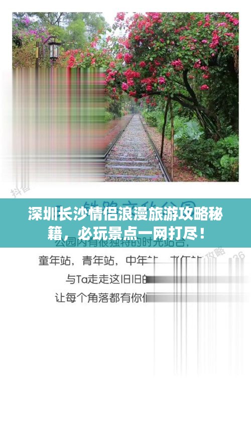 蟲蝕鳥步
