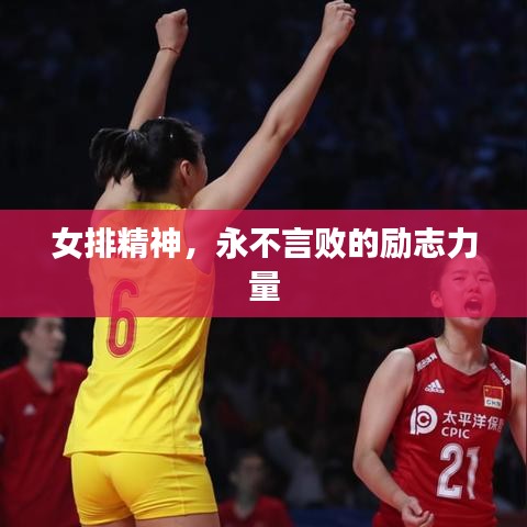女排精神，永不言敗的勵志力量