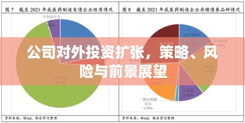 公司對外投資擴張，策略、風(fēng)險與前景展望