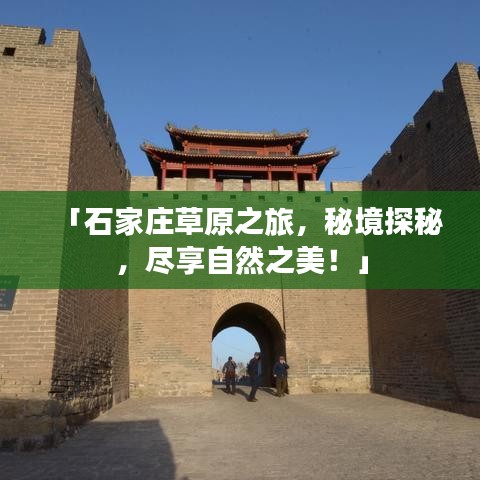 玉樹臨風(fēng)
